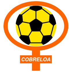 Fotos imágenes de la barra brava Huracan Naranja y hinchada del club de fútbol Cobreloa de Chile