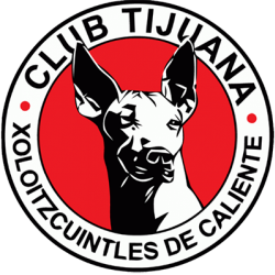 Letra de la canción Para No Verte Mas de la barra brava La Masakr3 y hinchada del club de fútbol Tijuana de México