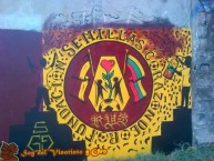 Mural - Graffiti - Pintadas - Mural de la Barra: Revolución Vinotinto Sur • Club: Tolima • País: Colombia