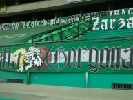 Trapo - Bandeira - Faixa - Telón - Trapo de la Barra: Frente Radical Verdiblanco • Club: Deportivo Cali