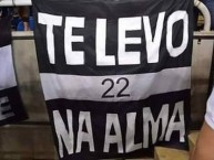 Trapo - Bandeira - Faixa - Telón - Trapo de la Barra: Loucos pelo Botafogo • Club: Botafogo • País: Brasil